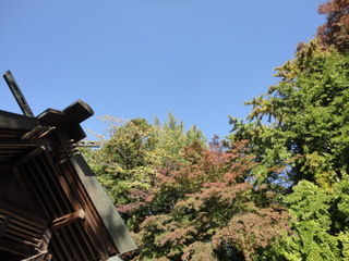 DSC09644.JPG