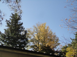 DSC09646.JPG