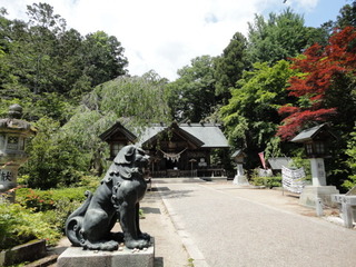 DSC09775.JPG