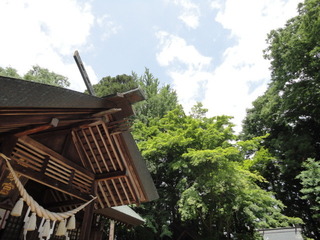 DSC09777.JPG