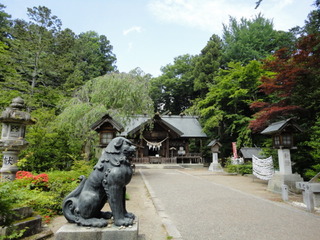 DSC09848.JPG