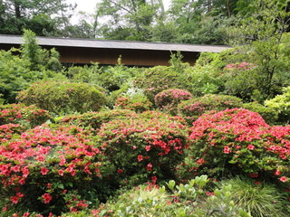 DSC09857.JPG