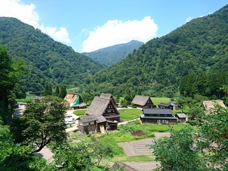 DSC_0259.JPG