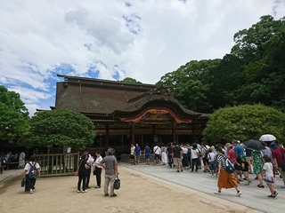 DSC_1497.JPG