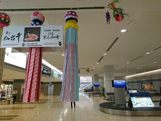 DSC_1589.JPG