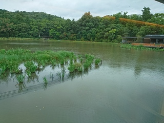DSC_1666.JPG