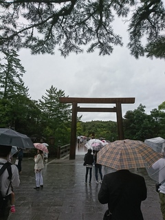 DSC_1667.JPG