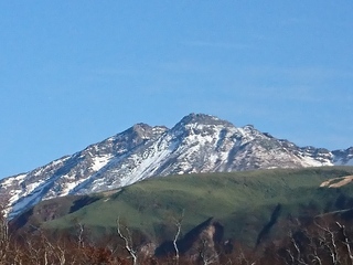 DSC_1821.JPG