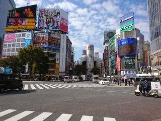 DSC_1900.JPG
