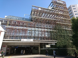 DSC_1902.JPG