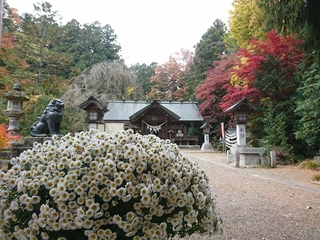DSC_1908.JPG