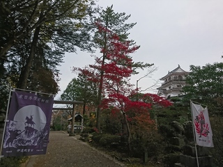 DSC_1909.JPG