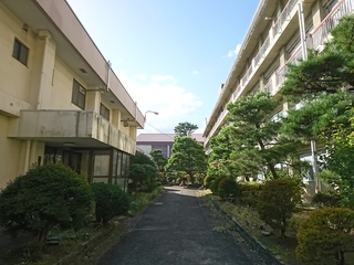 DSC_3283.JPG