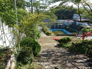 DSC_3296.JPG