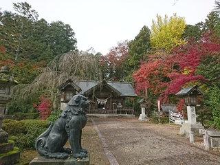 DSC_3599.JPG