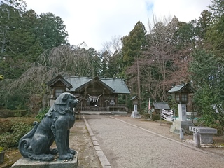 DSC_3794.JPG