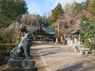 DSC_3937.JPG