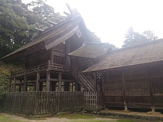 DSC_9668.jpg