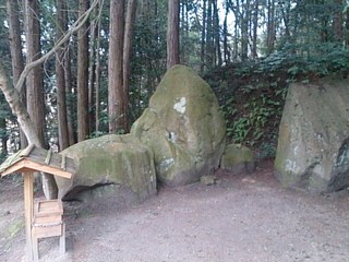 DSC_9677.jpg