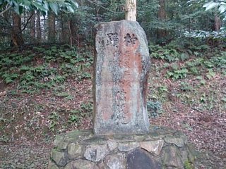 DSC_9678.jpg